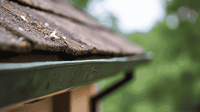 The Importance of Regular Gutter Cleaning and How to Do It